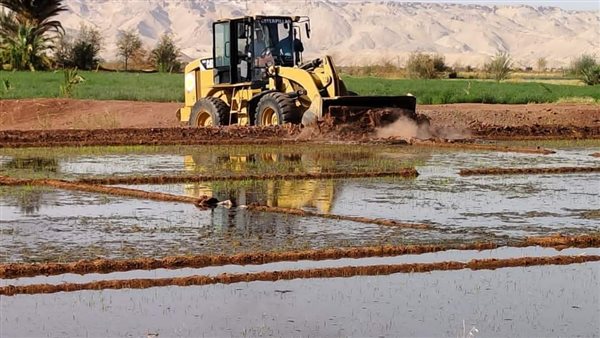 خلال الحملة على زراعات