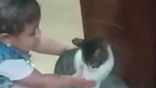 الصغيرة تلاعب القطة