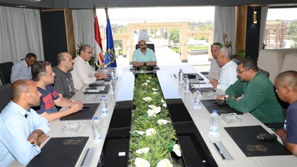 محافظ أسوان