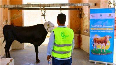 صناع الخير تبدأ تنفيذ مبادرة صك الأضحية وتوصيل لحومها لمستحقيها في قرى مصر 