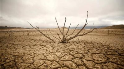 الأمم المتحدة تحتفل بـ اليوم العالمي لمكافحة التصحر والجفاف
