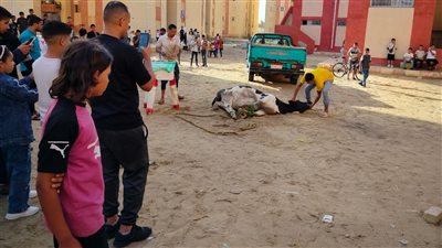 توزيع الهدايا والملابس والمواد الغذائية واللحوم على الفلسطينيين بالعريش