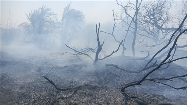 حرائق بالوادى الجديد