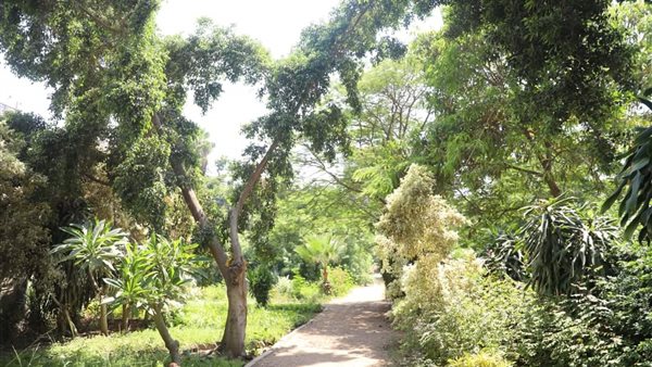  مشتل مصر الجديدة