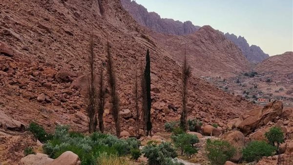 سقوط أمطار خفيفة