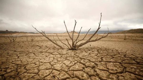  اليوم العالمي لمكافحة