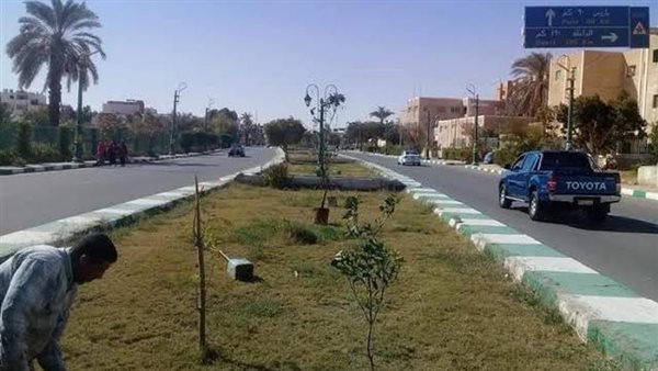 محافظة الوادى الجديد