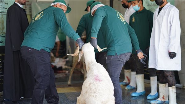 بيت الزكاة والصدقات