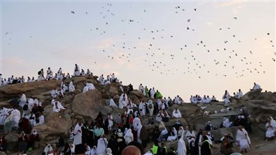 الأردن يصدر بيانا بشأن وفاة الحجاج من مواطنيه