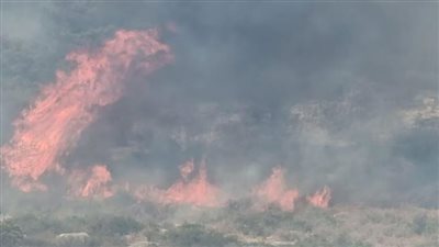 الحرائق لا تنتهي| النيران تشتعل في شمال إسرائيل.. وفرق الإطفاء تواجه صعوبة في السيطرة