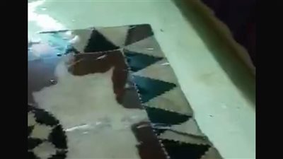 مهدد بالغرق.. مياه الصرف تدخل ضريح الشيخ الشعراوي بمسقط رأسه بالدقهلية