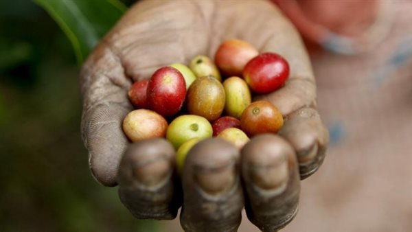 اليوم العالمي لفن