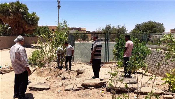 زيادة زراعة الأشجار