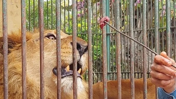 حديقة الحيوان