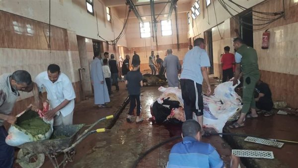 مجازر الوادى الجديد