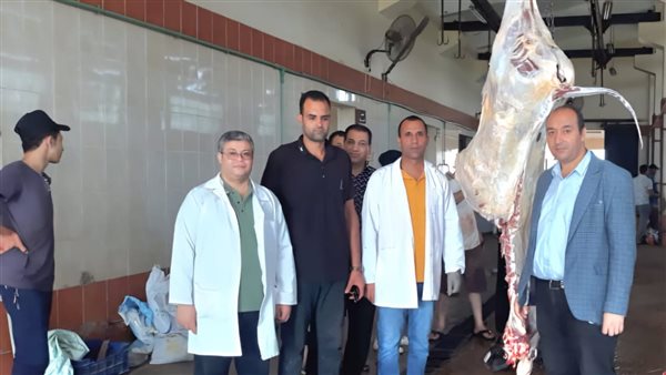 مجازر البحيرة 