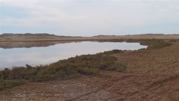 البحيرة المالحة من