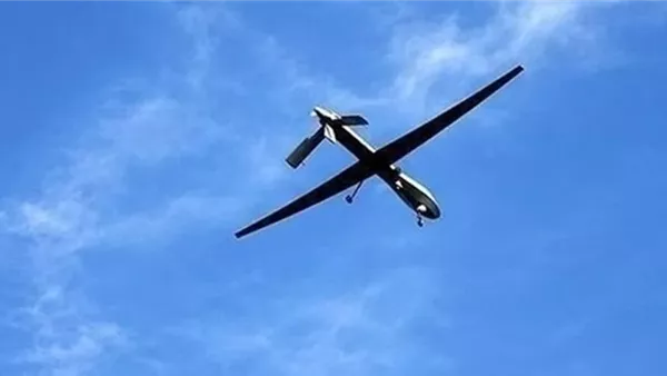 مسيرة - أرشيفية 