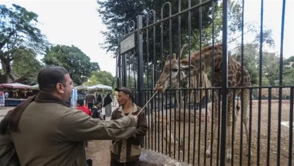 حديقة حيوان