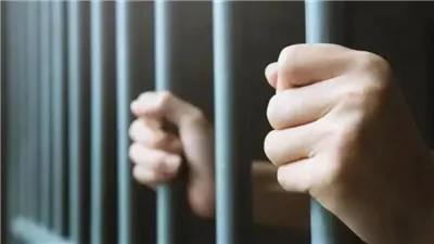 هنشغل فلوسكم في مشاريع استثمارية.. السجن 3 سنوات لـ شقيقين بتهمة النصب على المواطنين بالغربية 