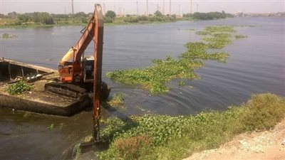 حقيقة وجود نبات جديد في النيل يضر بحصة مصر المائية