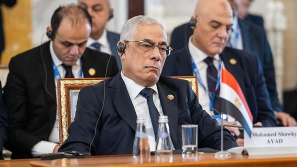 المستشار محمد شوقي