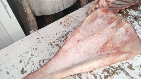 خطورة عظمة اللوح