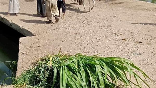 موقع الحادث 