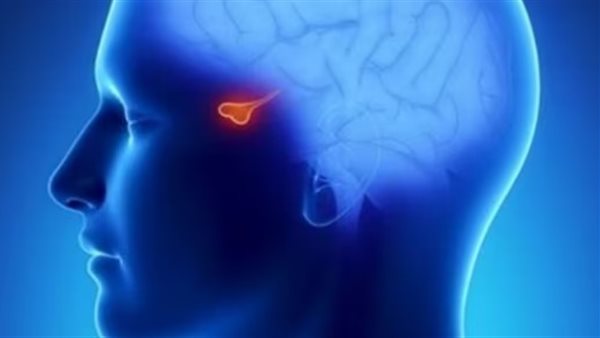 الغدة النخامية 