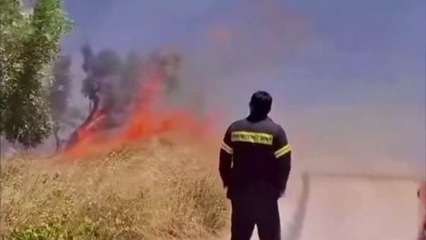 حرائق الغابات في