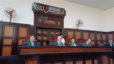 إحالة أوراق عامل للمفتي أنهى حياة شخص وأصاب آخر بأسيوط