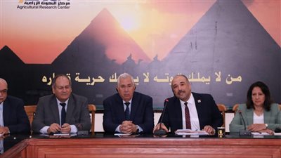 وزير الزراعة: إنتاج التقاوي أمن قومي.. وتوجيهات رئاسية باستنباط أصناف جديدة 