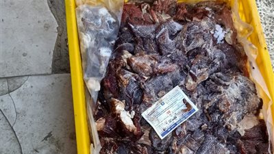 ضبط لحوم فاسدة داخل شركة للصناعات الغذائية في حملة تموينية بالفيوم