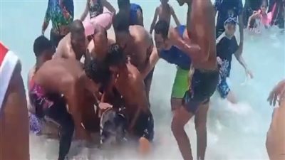 ظهور دولفين على شاطئ بالساحل الشمالي.. وشاهد عيان: الناس كانوا مبسوطين وحاولوا يتصوروا معاه | بث مباشر