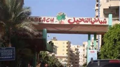 مش عارفين نعيش.. سكان قرية النخيل بالإسكندرية يستغيثون من انقطاع الكهرباء 12 ساعة يوميا