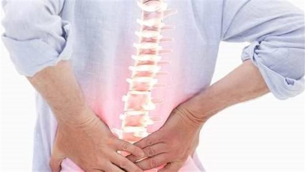 العمود الفقري 