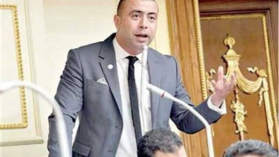 رئيس الهيئة البرلمانية لحماة الوطن: لا نعتمد على المال السياسي وإنما على التنوع والتوازن