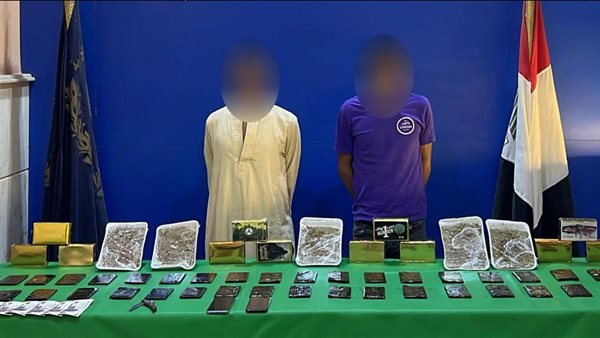 عنصرين إجراميين