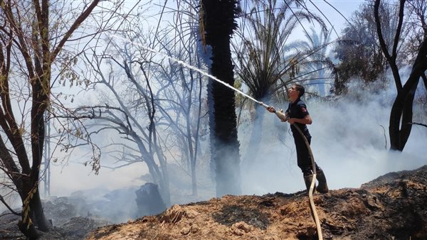 حريق بمزارع نخيل