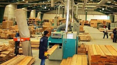 تراجع صادرات مصر من الأثاث والأخشاب إلى 270 مليون دولار في 11 شهرًا