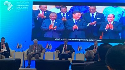 ضياء رشوان: القرن الإفريقي مهدد بالمجاعة بسبب الصراعات والنزاعات