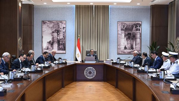 اجتماع الدكتور مصطفى