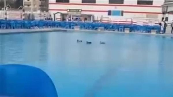 حمام سباحة - تعبيرية