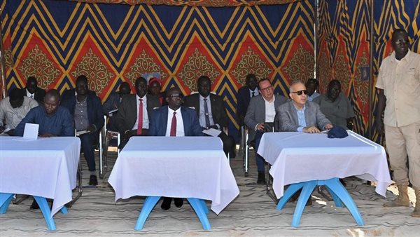 وزير الري المصري