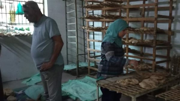 حملات تفتيشية بالمنيا