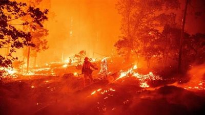 رويترز: استمرار حرائق الغابات في لوس أنجلوس حتى مع تراجع الرياح 