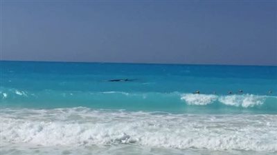 البحر غير مستقر.. الاتحاد المصري للغوص والإنقاذ يحذر من نزول شواطئ الساحل الشمالي