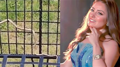 نرمين الفقي: قبل العيد ربنا نجاني من حادثة مرعبة والنهاردة لقيت ثعبان في بيتي | فيديو