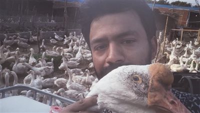 كيلو الكبدة بـ 300 دولار.. ننشر تفاصيل أول مزرعة لإنتاج الأوز الأوروبي في مصر | فيديو