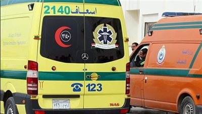 مصرع شخص وإصابة 5 في تصادم ميكروباص وسيارة ربع نقل بالمنيا